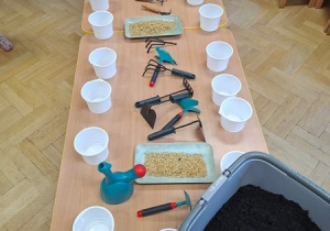 Zajęcia przyrodnicze - Poznajemy narzędzia ogrodnicze i siejemy owies