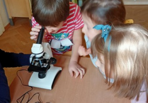 Poznajemy mikroskop