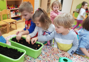 Dzieci sadzą cebulki dymki