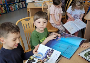 Przeglądanie zbiorów bibliotecznych