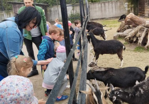 Wycieczka do gospodarstwa agroturystycznego "Pod Kogutem" cz1