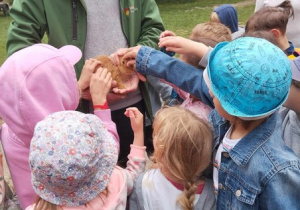 Wycieczka do gospodarstwa agroturystycznego "Pod Kogutem" cz3