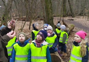 Dzieci uczestniczą w lekcji przyrodniczej w Lesie Bielańskim