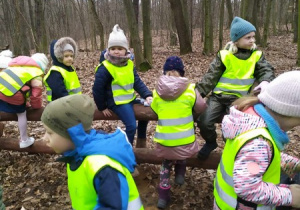 Dzieci uczestniczą w lekcji przyrodniczej w Lesie Bielańskim cz.5