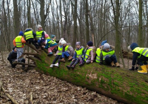 Dzieci uczestniczą w lekcji przyrodniczej w Lesie Bielańskim cz.10