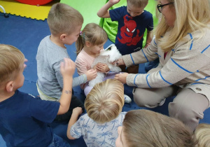 Dzień Kundelka - spotkanie z małym pieskiem