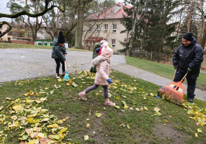 Jesienne prace w ogrodzie cz 2