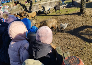 Poznanie się ze zwierzętami w "Malowanej Zagrodzie" cz 1