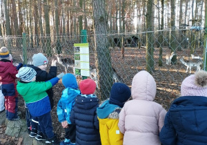 Poznanie się ze zwierzętami w "Malowanej Zagrodzie" cz 3