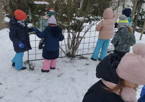 "Dokarmiamy zwierzęta zimą" - zajęcia w terenie cz5