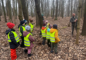 Warsztaty leśne - Kilka słów o drzewach