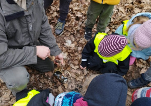 "Nie śmiećmy' - nauka uważności w czasie warsztatów leśnych