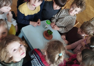 Jasio i Franio opowiadają o muchołówce