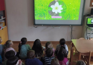 "Pierwsze oznaki wiosny" - obejrzenie filmu edukacyjnego