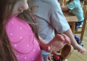 Spotkanie z owadami "oko w oko"