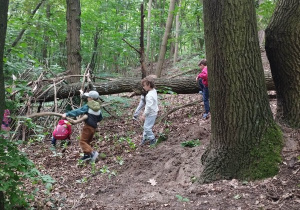 Dzień Pustej Klasy - budowanie szałasu cz 3