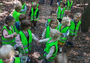 Obserwacje przyrodnicze w Lasku Lindego