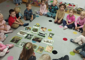 "jakie zwierzęta mieszkają w lesie?" - zabawa dydaktyczna