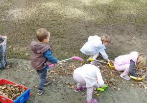 Prace porządkowe w ogrodzie