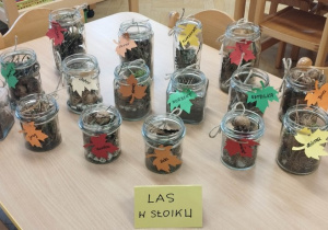 Prezentacja Sikorkowych "Lasów w słoiku"