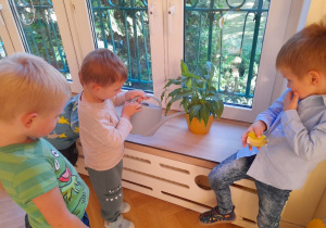 Dbamy również o nasze rośliny w sali