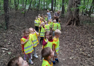 Jesienny spacer i uważna obserwacja przyrodnicza