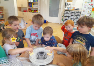 aby później zrobić z nich chipsy zdrowe, jabłkowe