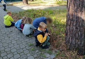 Zbieranie "Skarbów jesieni" cz 1