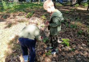 Zbieranie "Skarbów jesieni" cz 2