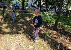 Realizacja projektu "Klasa w terenie" obserwacja chmur