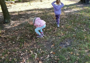 Realizacja projektu "Klasa w terenie" obserwacja chmur