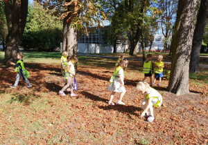 Zbieramy kasztany do kącika przyrody