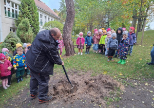 Dzień Drzewa - sadzimy drzewo w ogrodzie