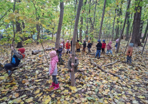 "Przytulamy drzewa" - spacer do Lasku Lindego