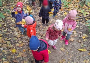 "Pod górkę" - spacer do Lasku Lindego