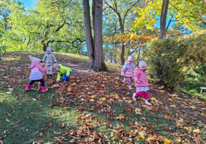"W poszukiwaniu kasztanów" - zabawy na dworzru