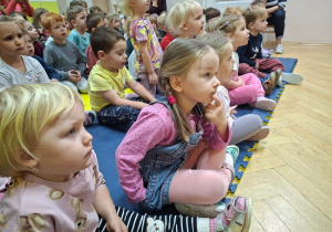 Wpatrzone w teatrzyk buzie Sikorek