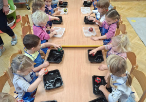 "Pucujemy piłeczki" zajęcia badawcze