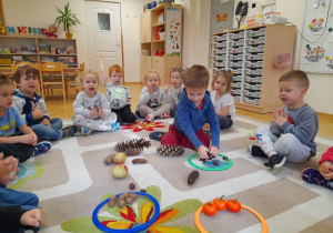 Jesienne zabawy z darami natury - klasyfikowanie wg zauważonych cech, przeliczanie i porównywanie liczebności zbiorów