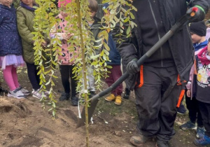 Dzień Drzewa i wspólne sadzenie Wierzby Płaczące w naszym pięknym ogrodzie