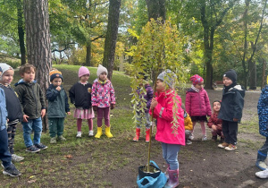 Wierzba została przez nas powitania z szacunkiem i miłością. Usłyszała również nasze imiona.