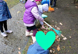 Dzięcioły pomagają w porządkowaniu i grabieniu liści