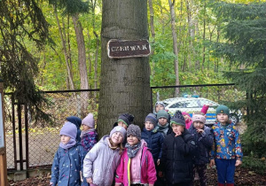 Spędzenie czasu w ogrodzie przedszkolnym, składanie życzeń dla drzew z okazji ich święta