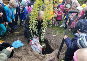 Wspólne sadzenie drzewa w naszym pięknym ogrodzie