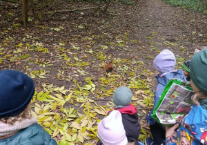 spacer po Lesie Lindego i karmienie wiewiórek przez Dzięcioły