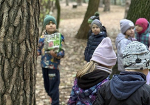 Zabawy badawcze w lesie