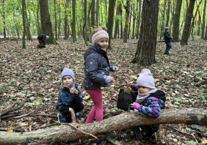 Spacer po Lesie Lindego