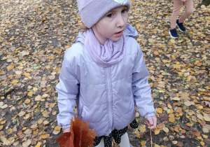 Szukanie darów jesieni.