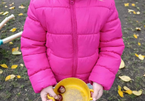 Piękna, złota jesień