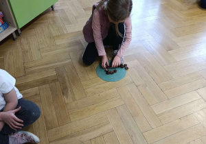 Zabawy matematyczne z kasztanami